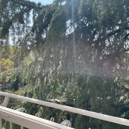 Apartament Pine-tree Spacious 2 Bdr Near Tanners' Bridge With Hot Tub